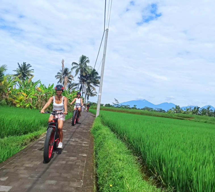 인도네시아 우붓 팻 타이어 전기자전거 투어 이미지 2