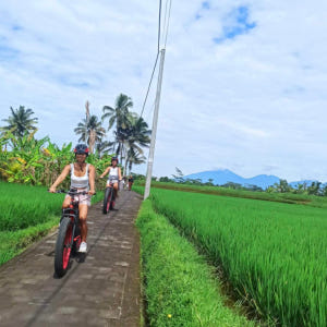 인도네시아 우붓 팻 타이어 전기자전거 투어 솔직 후기 | 실사용자 리뷰 분석 - 상품 이미지 2