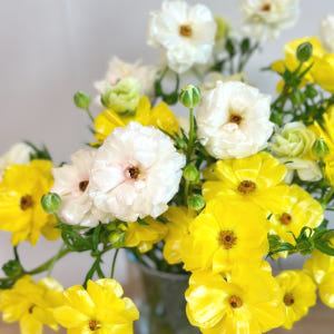 리틀캠든 버터플라이 라넌큘러스 생화 합리적인 온라인꽃집 솔직 후기 | 실사용자 리뷰 분석 - 상품 이미지 4