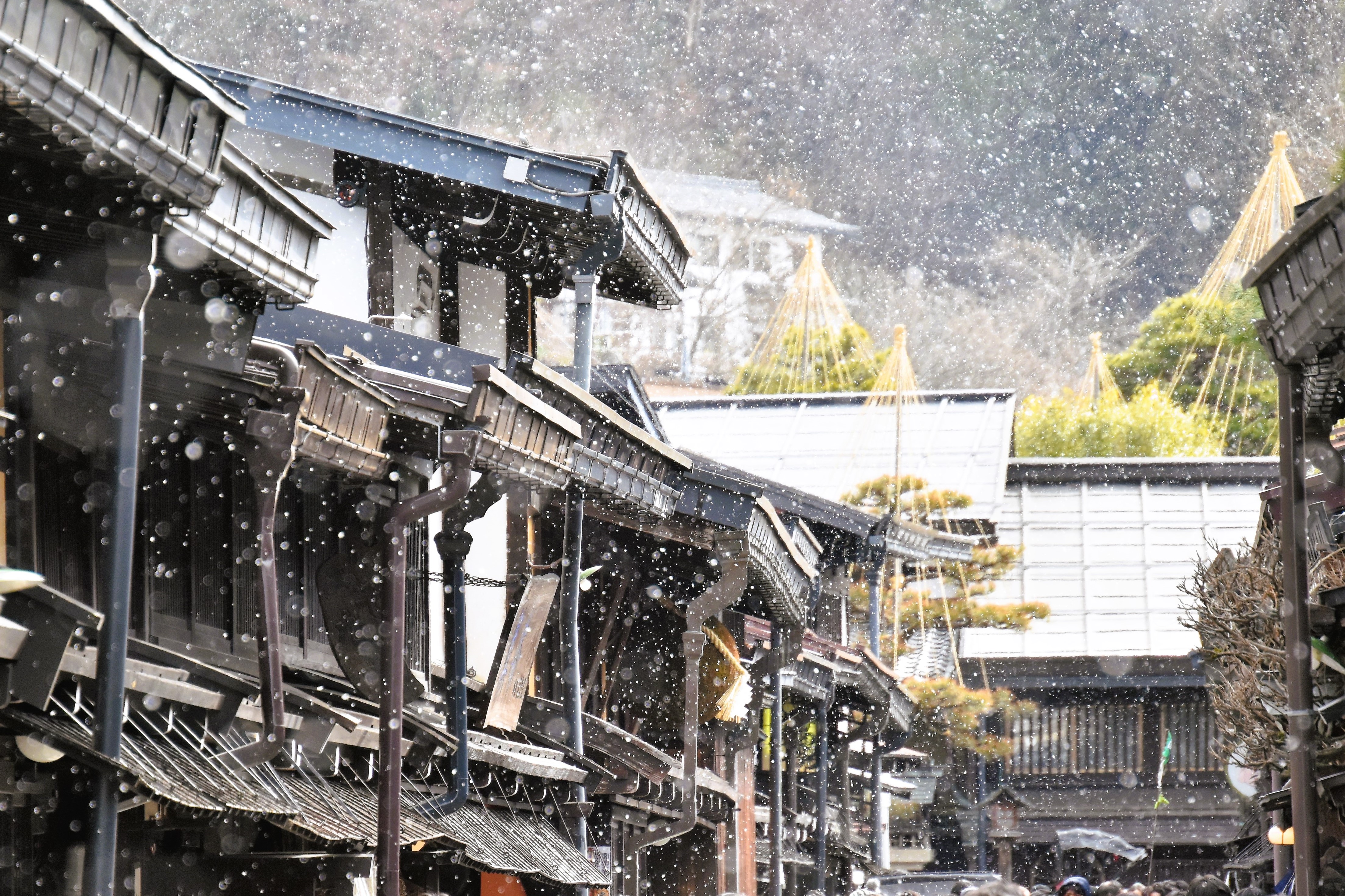 일본 나고야 출발! 시라카와고&히다다카야마(식사 없음・영어 대응 가능) - 상세 이미지 3