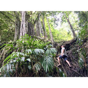 미국 하와이 마우이 정글과 폭포 하이킹 어드벤처 솔직 후기 | 실사용자 리뷰 분석 - 상품 이미지 3