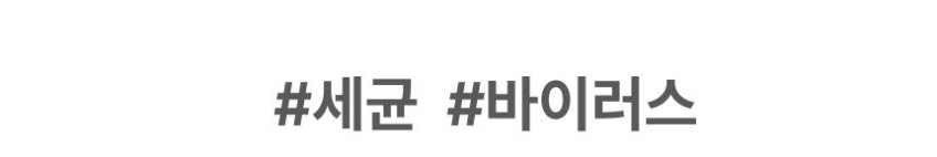 키친아트 미니 전기포트 티 포트기 스텐 커피포트 포터 판매처 상세 정보 이미지 3