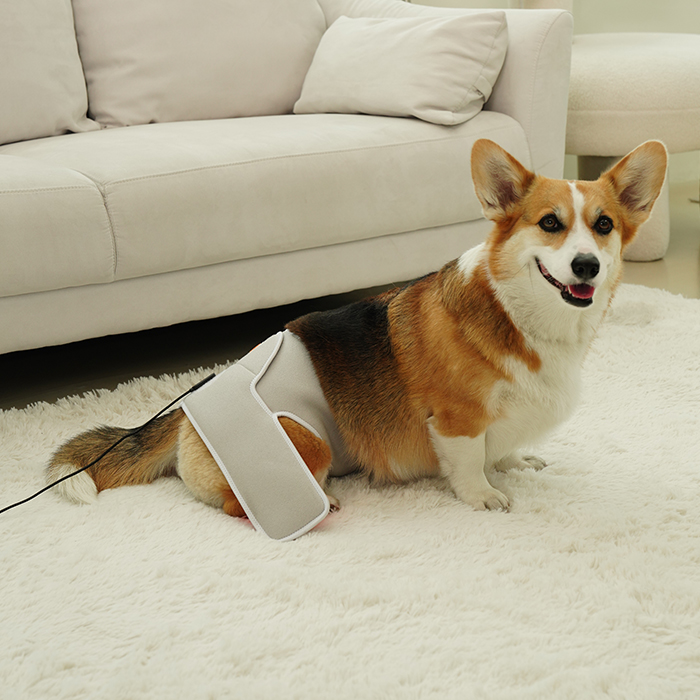 시리어스펫 슬개골 따땃망토 프로 강아지 슬개골 고관절 탈구 근적외선 온열 찜질 조사기