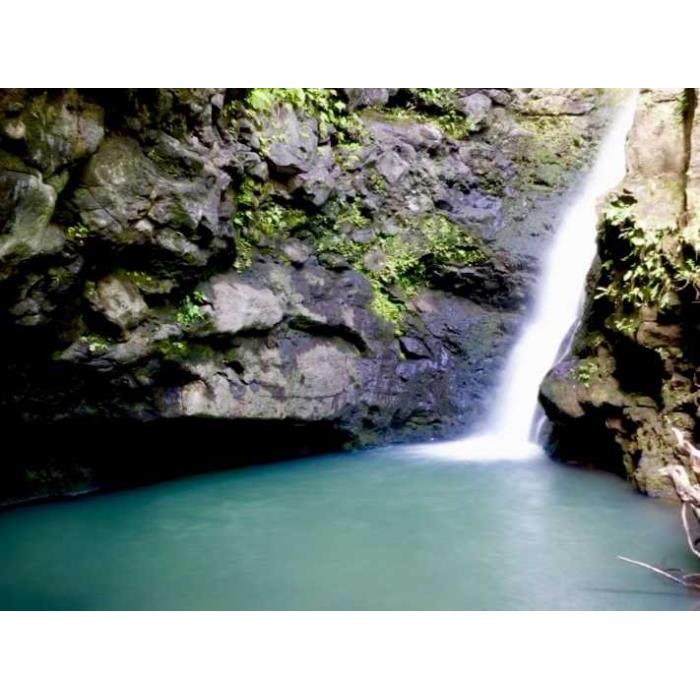 미국 하와이 마우이 정글과 폭포 하이킹 어드벤처 이미지 2