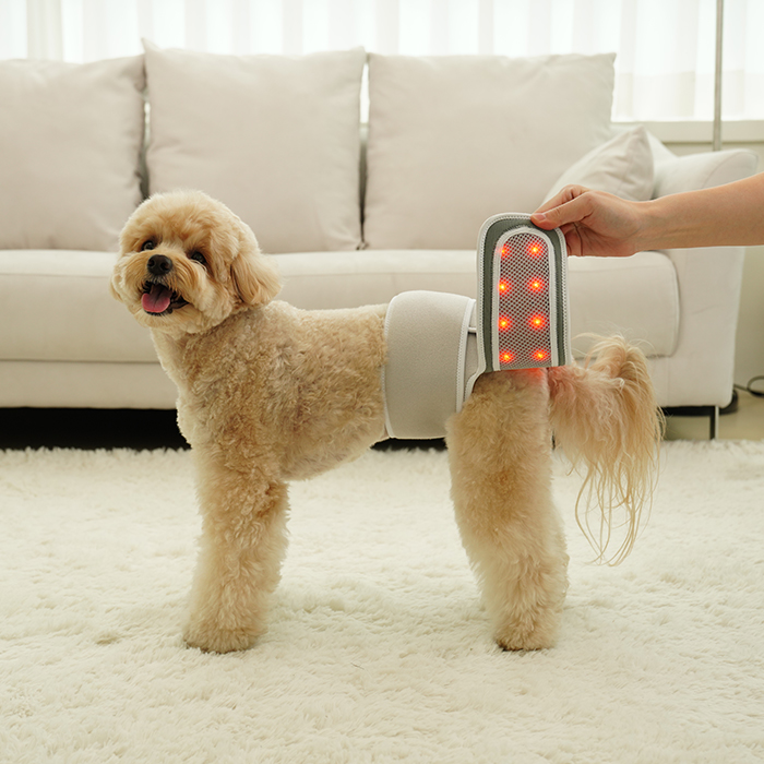 시리어스펫 슬개골 따땃망토 프로 강아지 슬개골 고관절 탈구 근적외선 온열 찜질 조사기