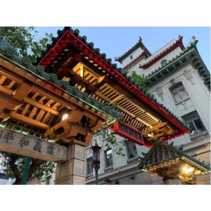 미국 샌프란시스코 워리어 캣 차이나타운 시티 게임 솔직 후기 | 실사용자 리뷰 분석 - 상품 이미지 3