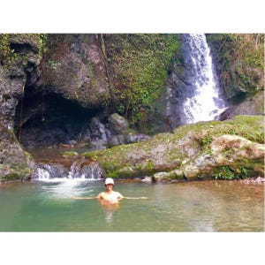 미국 하와이 마우이 정글과 폭포 하이킹 어드벤처 솔직 후기 | 실사용자 리뷰 분석 - 상품 이미지 4