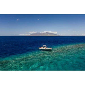 미국 하와이 사우스 마우이 몰로키니 화산 분화구 스노클링 크루즈 솔직 후기 | 실사용자 리뷰 분석 - 상품 이미지 4