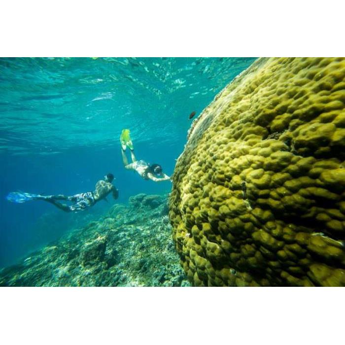 인도네시아 발리 출발 누사 페니다에서 쥐가오리와 함께 수영하기 이미지 4