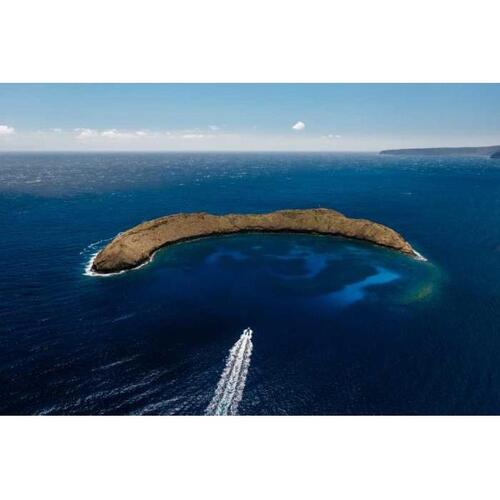 미국 하와이 사우스 마우이 몰로키니 화산 분화구 스노클링 크루즈