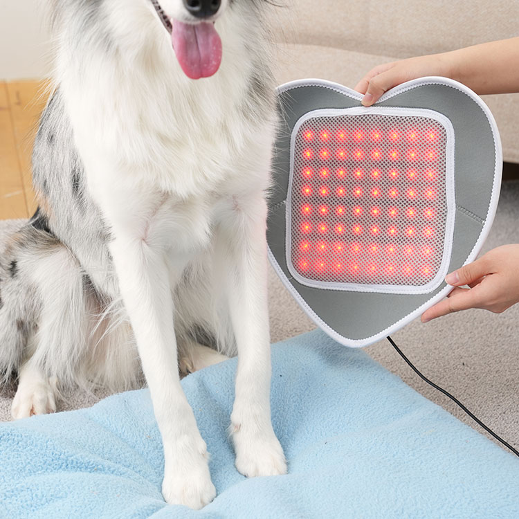 시리어스펫 슬개골 따땃패드 강아지 고양이 디스크 근적외선 온열 찜질 조사기