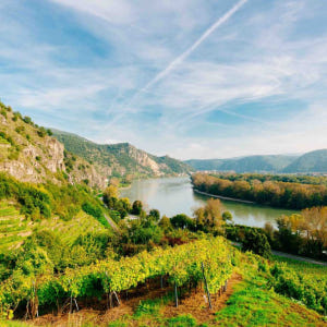오스트리아 빈 바하우 계곡 & 멜크 수도원 (비엔나 출발) 솔직 후기 | 실사용자 리뷰 분석 - 상품 이미지 3