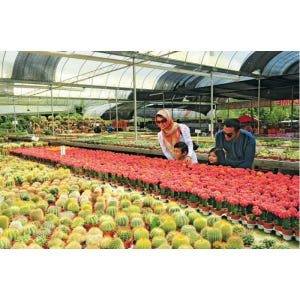 말레이시아 카메론 고원 가이드 투어 (쿠알라룸푸르 출발) 솔직 후기 | 실사용자 리뷰 분석 - 상품 이미지 3