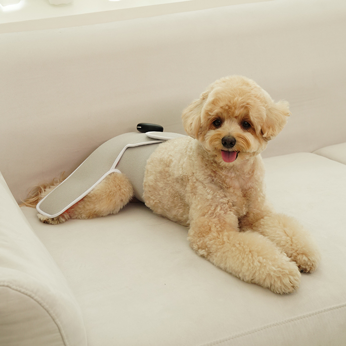 시리어스펫 슬개골 따땃망토 프로 강아지 슬개골 고관절 탈구 근적외선 온열 찜질 조사기