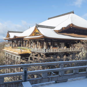 일본 교토 수학여행 코스 (식사 포함・영어 대응 가능) /나고야 출발 솔직 후기 | 실사용자 리뷰 분석 - 상품 이미지 2