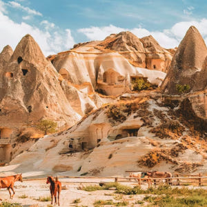 터키 카파도키아 계곡 - 2시간 승마 체험 솔직 후기 | 실사용자 리뷰 분석 - 상품 이미지 3