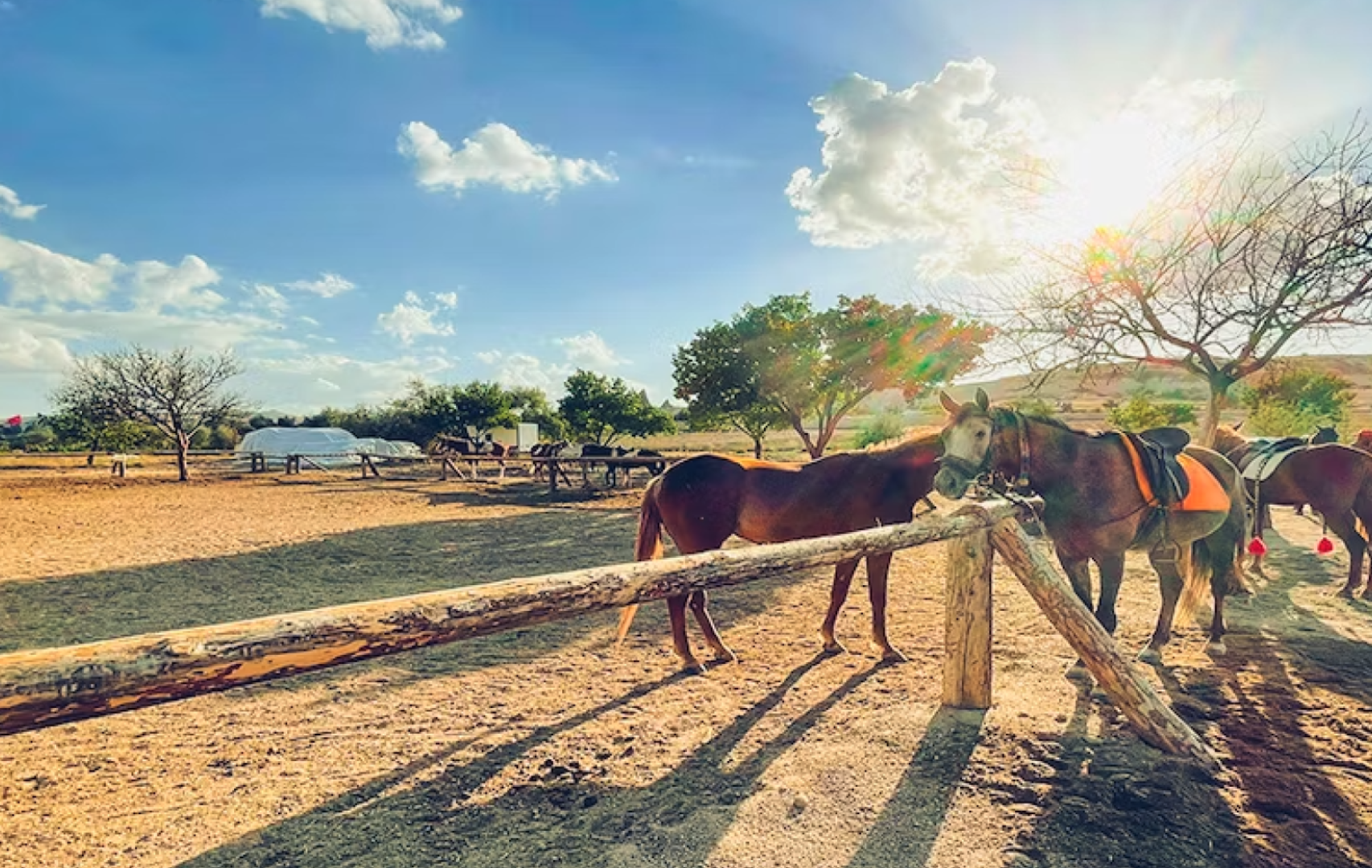 터키 카파도키아 계곡 - 2시간 승마 체험 이미지 2