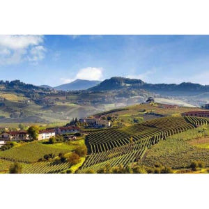 이탈리아 토리노 출발 랑게 지역 바롤로 와인 시음 프라이빗 투어 솔직 후기 | 실사용자 리뷰 분석 - 상품 이미지 1