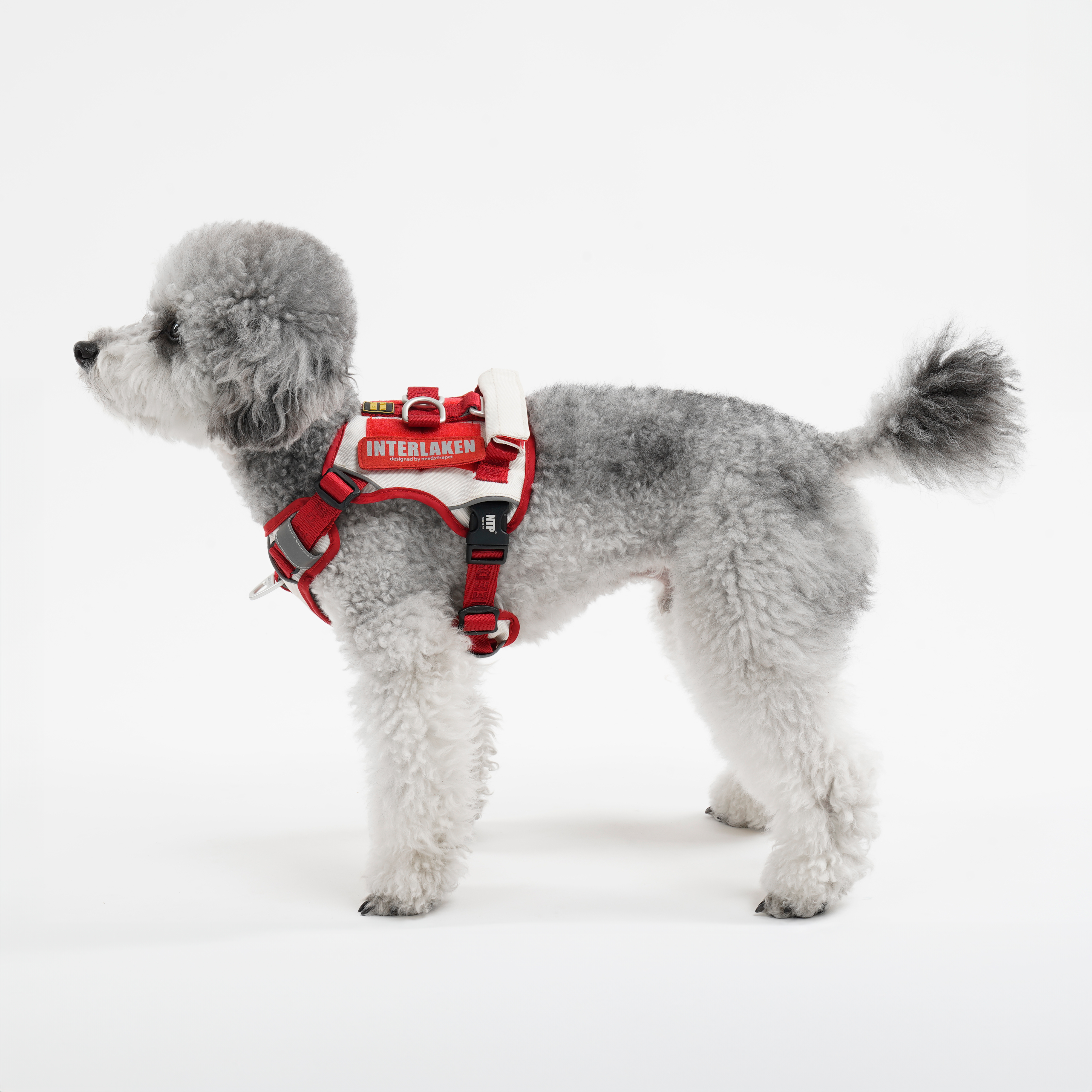 인터라켄 투톤 커스텀 강아지 하네스 소형견 앞섬방지 앞고리 가슴줄 XXS