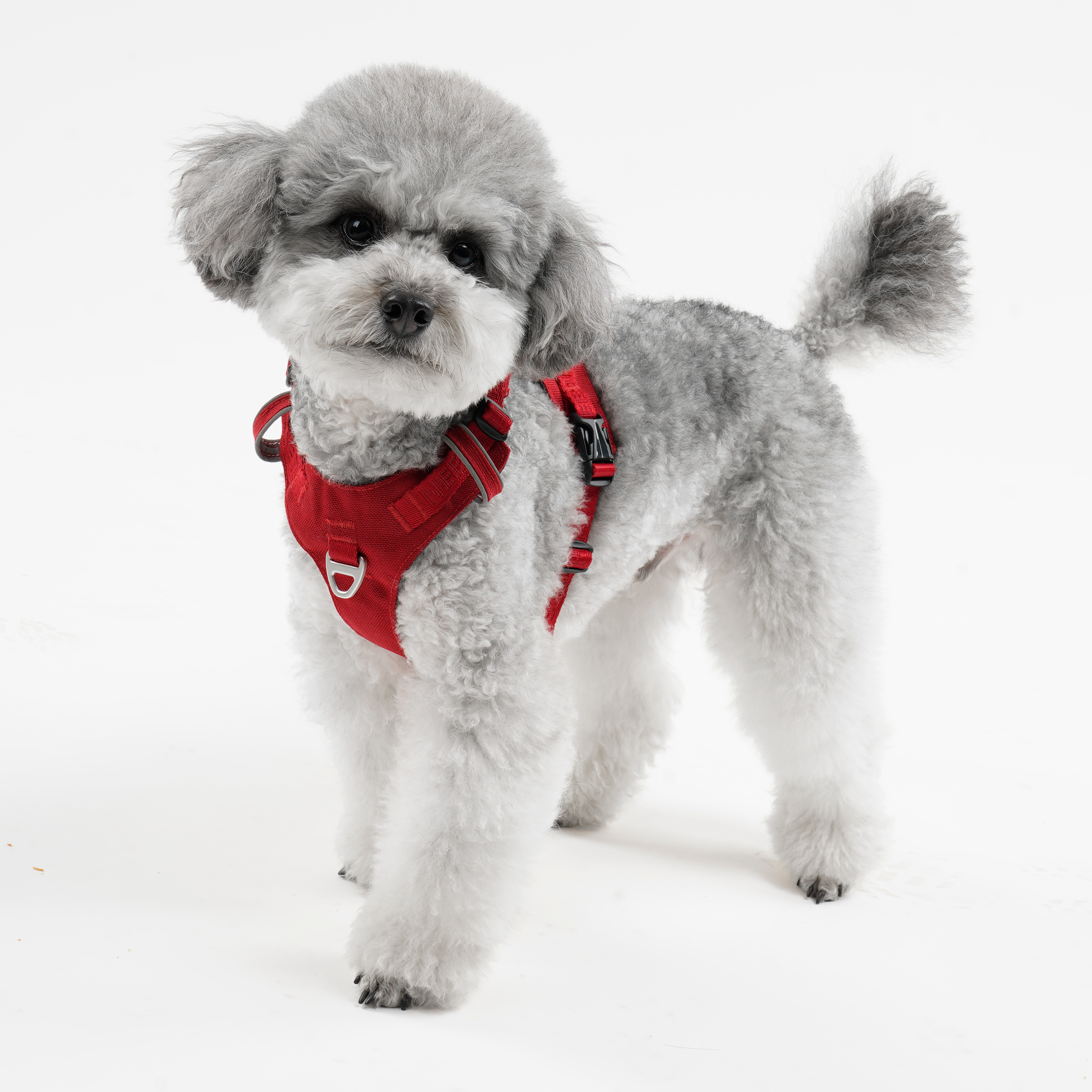 인터라켄 초경량 강아지 라이트 하네스 H형 소형견 대형견 앞섬방지 앞고리 가슴줄