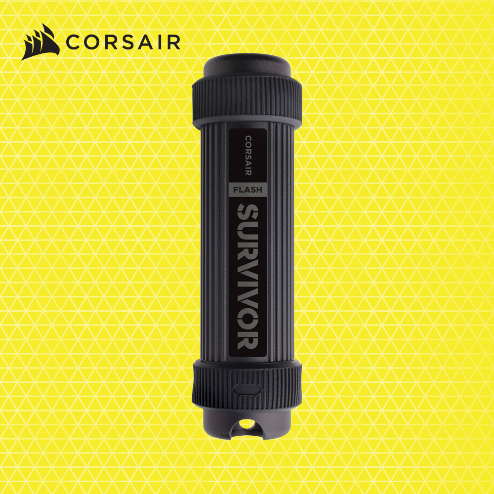 커세어 SURVIVOR STEALTH USB3.0 256G