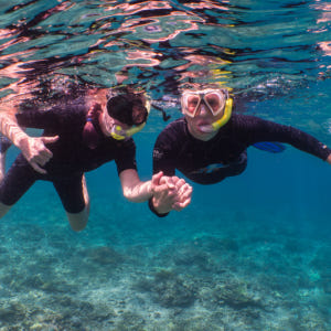 인도네시아 발리 빠당바이 스노클링 (PADI 5성급 다이빙 센터) 솔직 후기 | 실사용자 리뷰 분석 - 상품 이미지 2