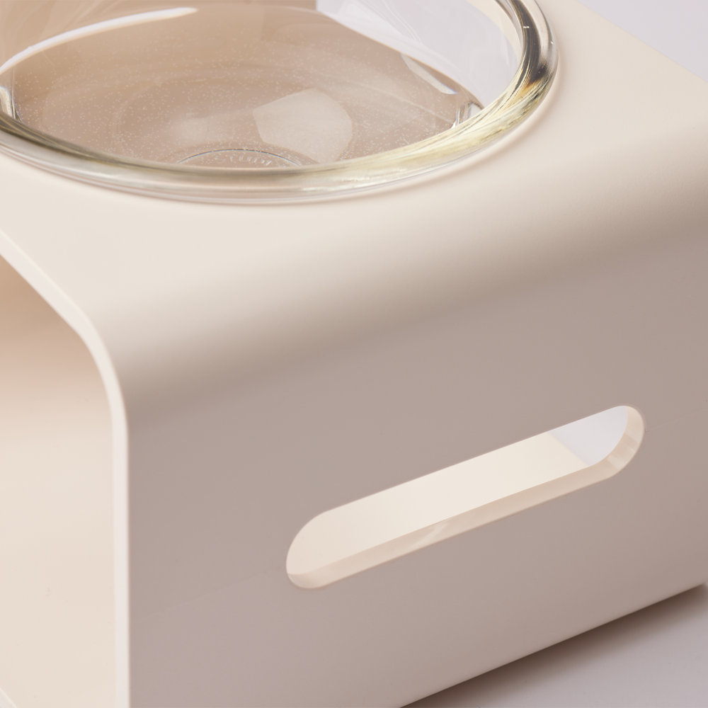 [3651 X 스튜디오얼라이브] 반짝식기 고양이 강아지 물그릇 식기 고양이 수반 음수량 늘리기 프로젝트