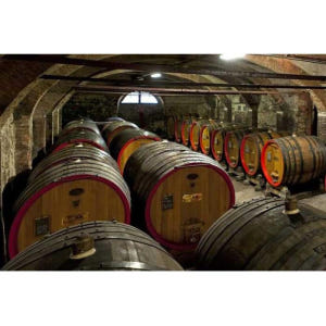 이탈리아 토리노 출발 랑게 지역 바롤로 와인 시음 프라이빗 투어 솔직 후기 | 실사용자 리뷰 분석 - 상품 이미지 3