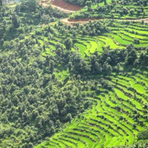 네팔 포카라 산악 자전거 투어 솔직 후기 | 실사용자 리뷰 분석 - 상품 이미지 4