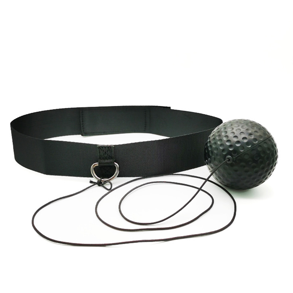 복싱 스피드 펀칭 펀치 파이트 미트 동체시력 리플렉스 훈련 탭 머리 볼 ... 운동러 솔직 후기 | 실사용 리뷰 - 대표 이미지