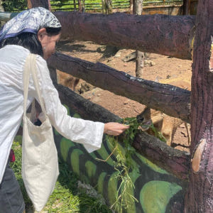 인도네시아  빈탄섬 사파리 라고이 & 에코팜 체험 솔직 후기 | 실사용자 리뷰 분석 - 상품 이미지 4