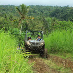 인도네시아 발리 빠양안 버기카 투어 솔직 후기 | 실사용자 리뷰 분석 - 상품 이미지 3
