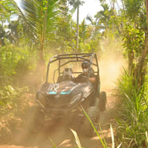 인도네시아 발리 빠양안 버기카 투어 솔직 후기 | 실사용자 리뷰 분석 - 상품 이미지 1