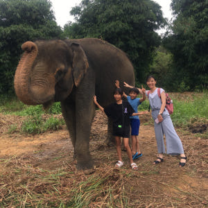 인도네시아  빈탄섬 사파리 라고이 & 에코팜 체험 솔직 후기 | 실사용자 리뷰 분석 - 상품 이미지 3