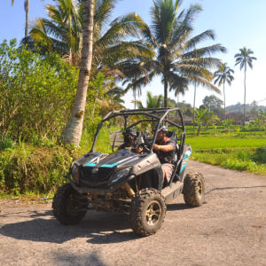 인도네시아 발리 빠양안 버기카 투어 솔직 후기 | 실사용자 리뷰 분석 - 상품 이미지 2