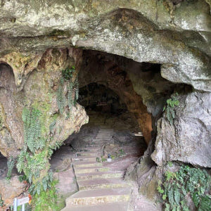말레이시아 사라왁 동굴 어드벤처 솔직 후기 | 실사용자 리뷰 분석 - 상품 이미지 2