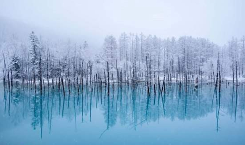 일본 삿포로 닝글 테라스 & 비에이 청의 호수 & 시라히게 폭포 일루미네이션 투어 이미지 4