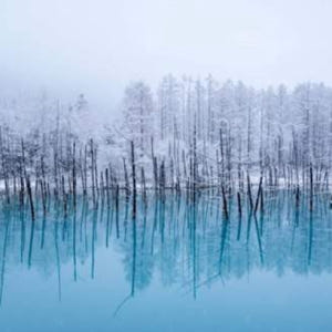 일본 삿포로 닝글 테라스 & 비에이 청의 호수 & 시라히게 폭포 일루미네... 솔직 후기 | 실사용자 리뷰 분석 - 상품 이미지 4