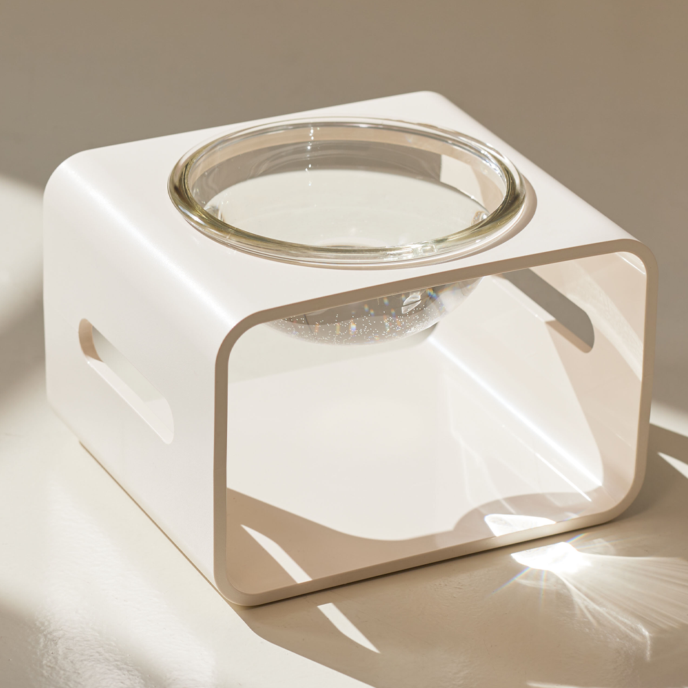 [3651 X 스튜디오얼라이브] 반짝식기 고양이 강아지 물그릇 식기 고양이 수반 음수량 늘리기 프로젝트