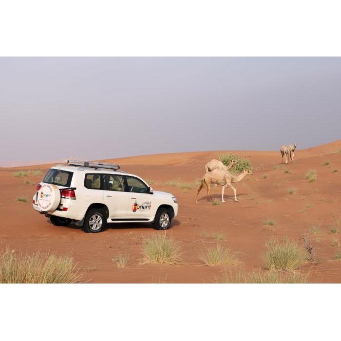 아랍에미리트 두바이 일출 사막 사파리 + 알 쿠드라 호수 + 피크닉 아침 식사 이미지 4