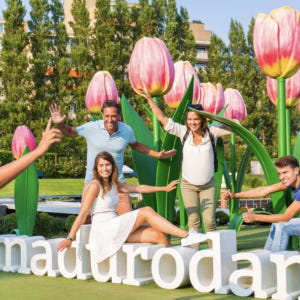 네덜란드 | 암스테르담에서 출발하는 로테르담, 델프트 및 헤이그 당일치기... 솔직 후기 | 실사용자 리뷰 분석 - 상품 이미지 3