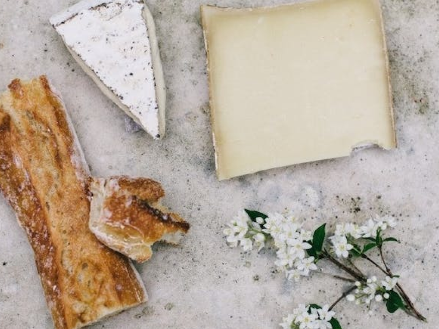 이탈리아 베로나 치즈 시식 및 페어링 이미지 3