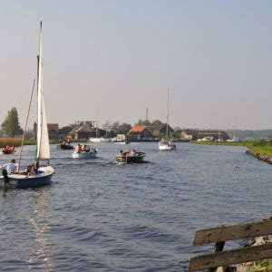 네덜란드 암스테르담 큐켄호프 튤립 들판 & 풍차 일일 투어 (암스테르담 ... 솔직 후기 | 실사용자 리뷰 분석 - 상품 이미지 4