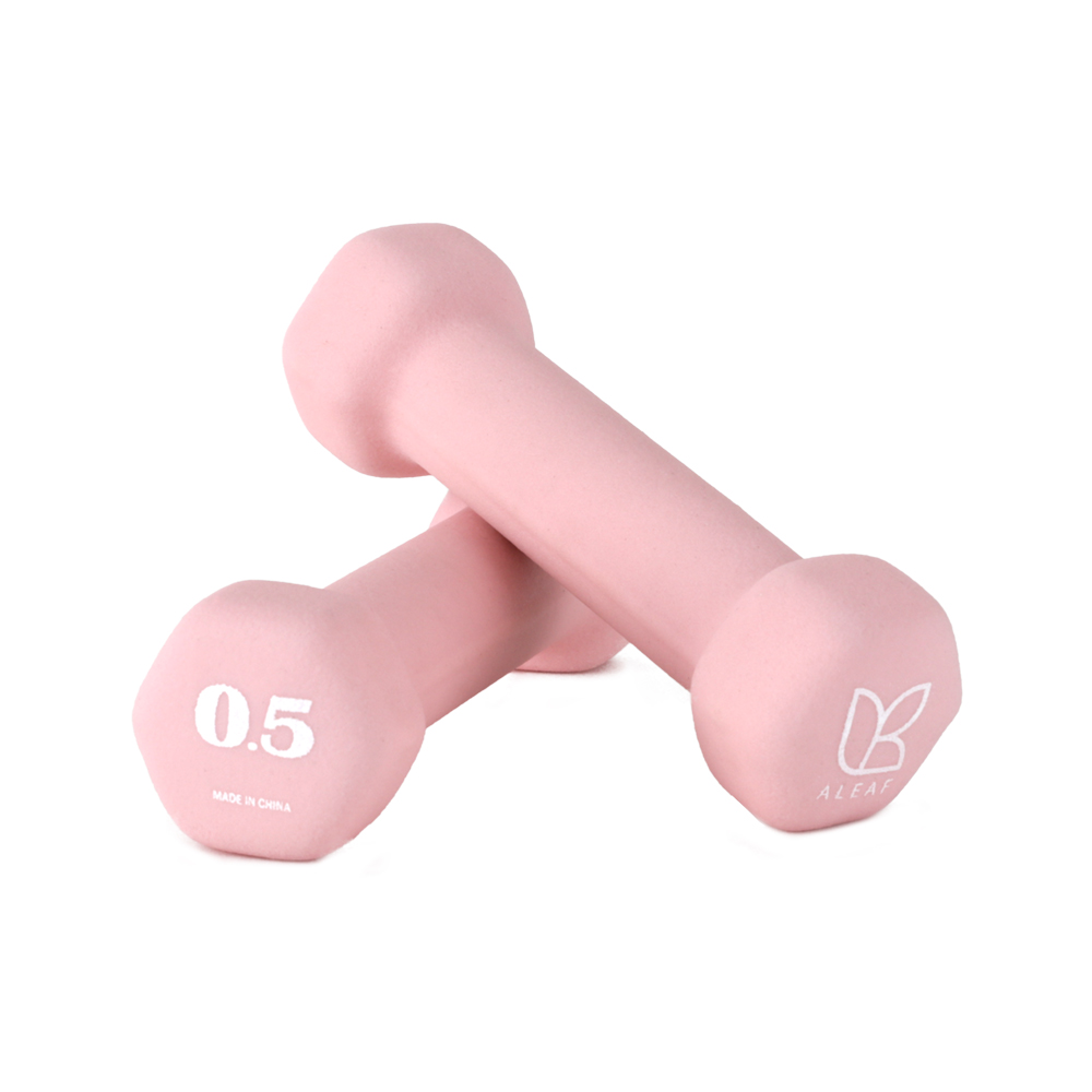 아리프 선인장 미용 아령 여자 홈트 덤벨 0.5kg, 2개, 버블 핑크 이미지 1