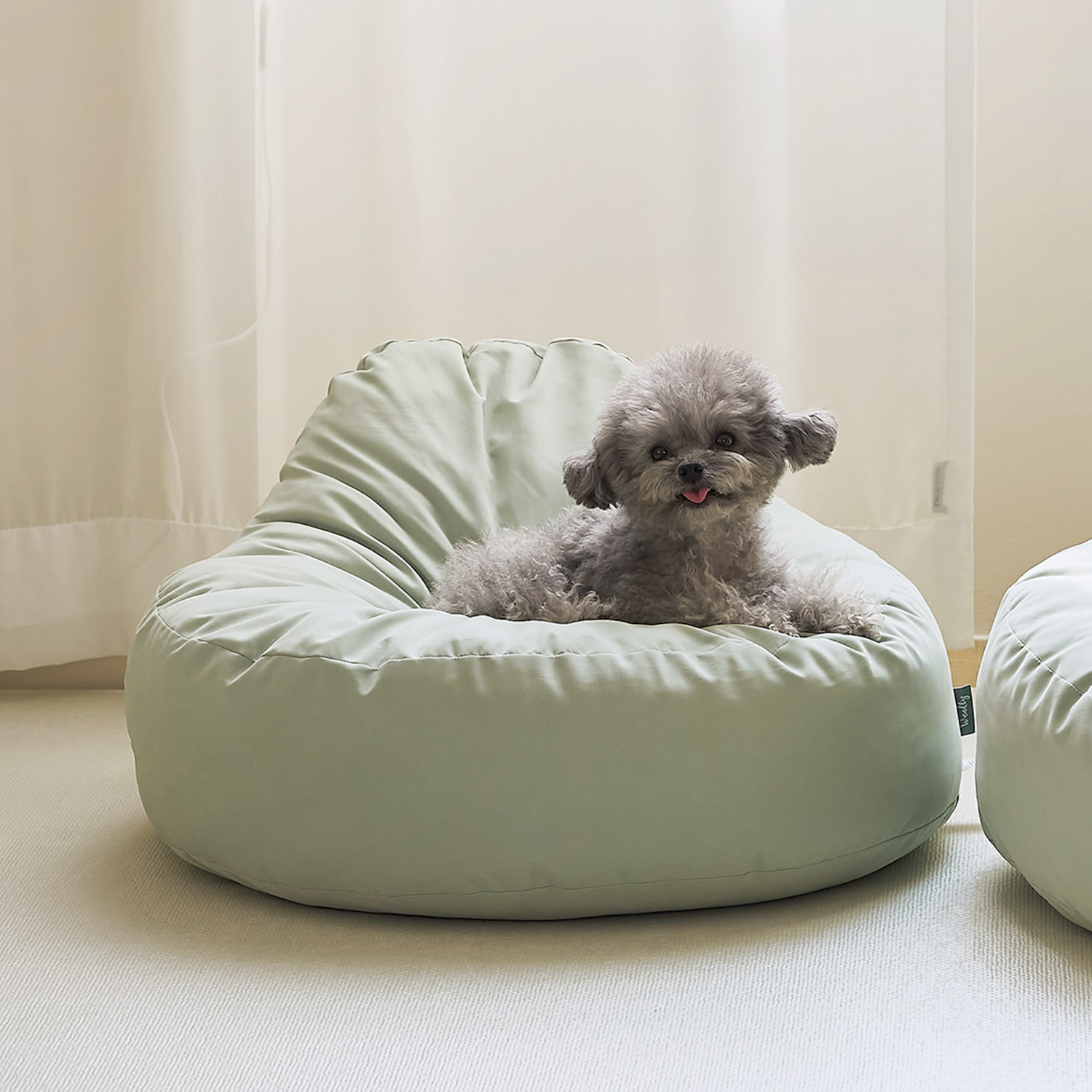 울리 펫 빈백 쇼파 고양이 강아지 방석 M 커버분리 이미지 2