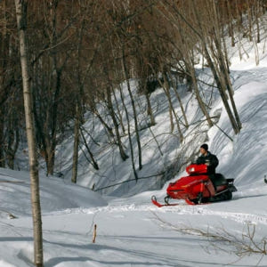 일본 삿포로  홋카이도 삿포로 스노우모바일 랜드 체험 솔직 후기 | 실사용자 리뷰 분석 - 상품 이미지 3