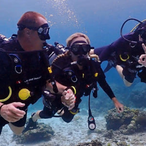 말레이시아 사피섬 스노클링 & 수상 액티비티 솔직 후기 | 실사용자 리뷰 분석 - 상품 이미지 2
