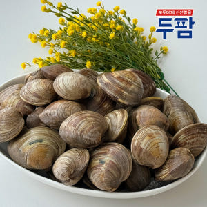 해감 백합 조개 백상합 생합 1kg 백생합 조개구이 찜 맛있게 먹은 솔직 후기 - 상품 이미지 3