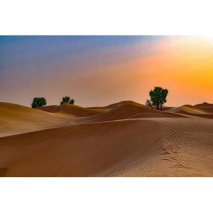 아랍에미리트 두바이 일출 사막 사파리 + 알 쿠드라 호수 + 피크닉 아침... 솔직 후기 | 실사용자 리뷰 분석 - 상품 이미지 1