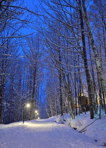 일본 삿포로 닝글 테라스 & 비에이 청의 호수 & 시라히게 폭포 일루미네이션 투어 이미지 2